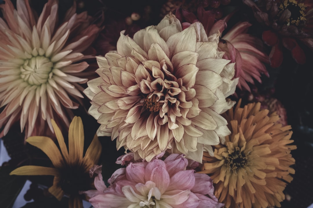 Blooming.