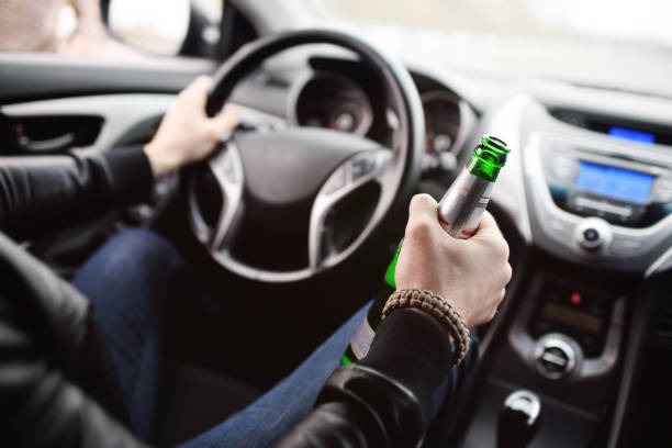 815-광복절-특사-운전면허-확인