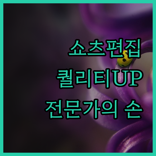 쇼츠 릴스 영상 편집, 퀄리티 높여주