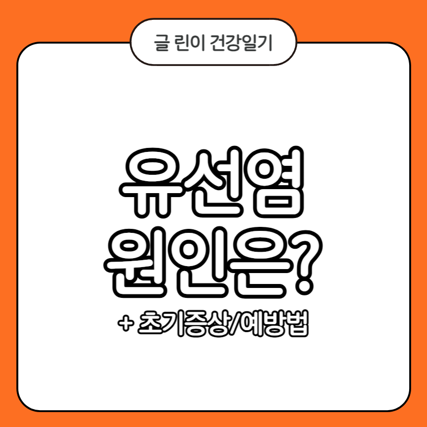 유선염 원인