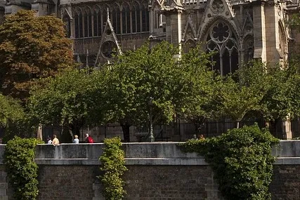 노트르담 드 파리 뮤지컬