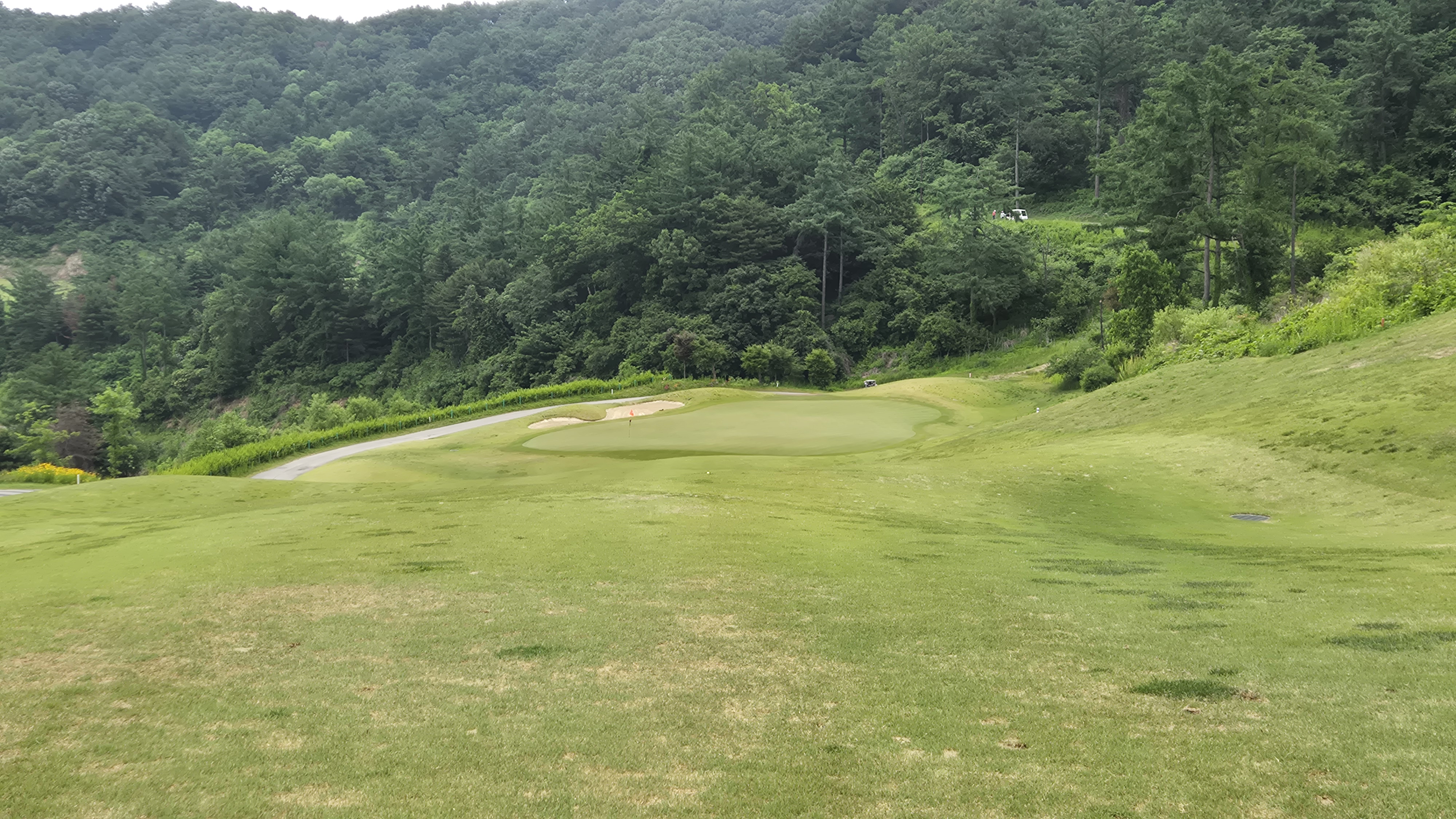 샴발라cc 라운드 후기