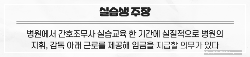 실습생 주장