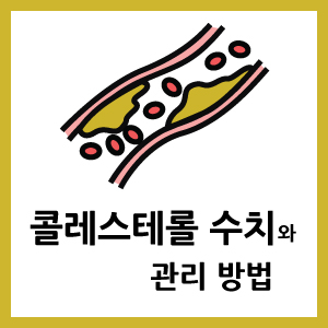 콜레스테롤 수치