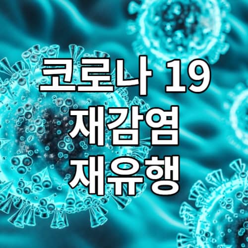 코로나 재감염 재유행 썸네일 이미지