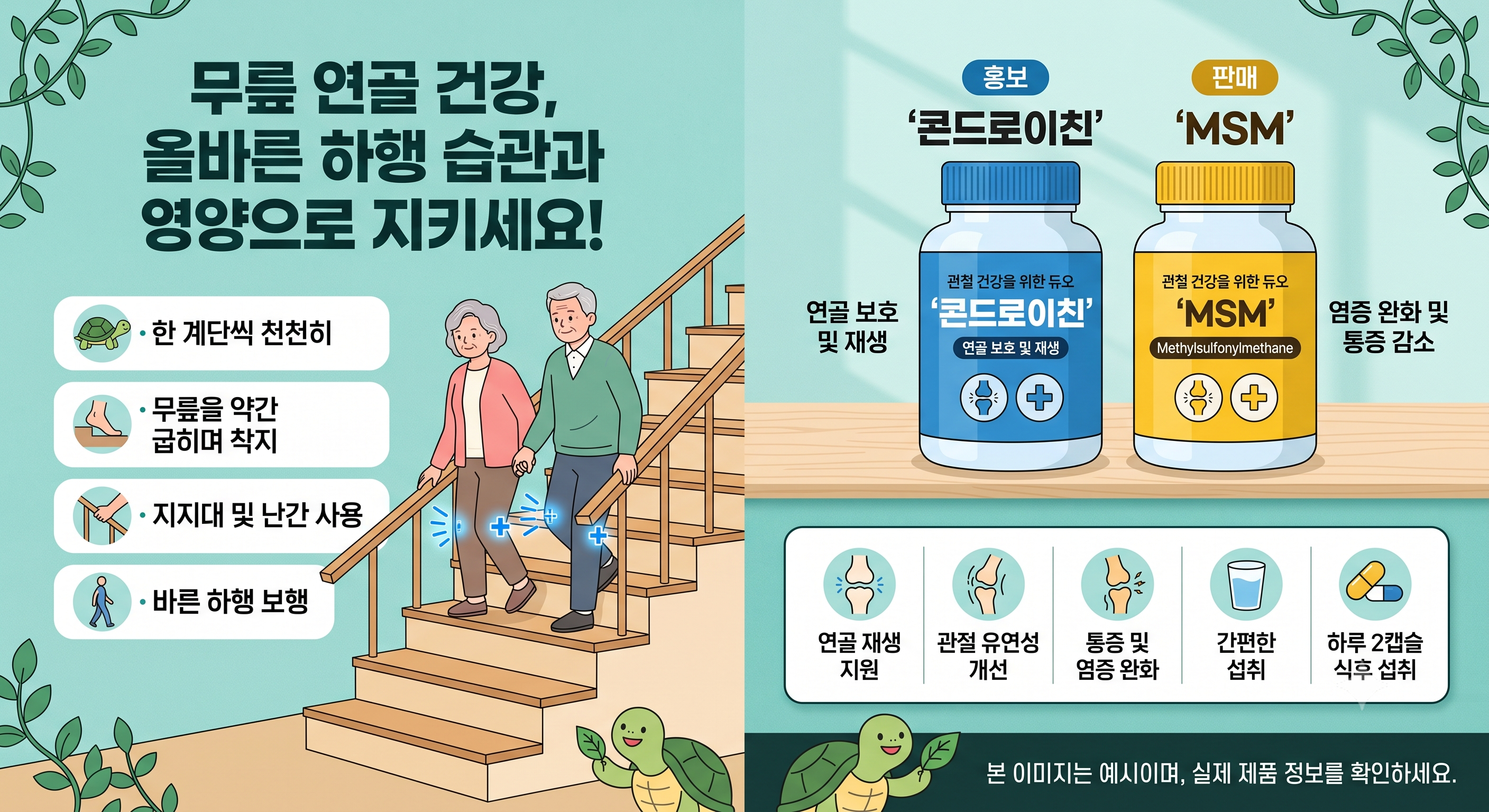콘드로이친 및 MSM(관절 건강) 상품