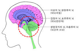 오감을 활용하라