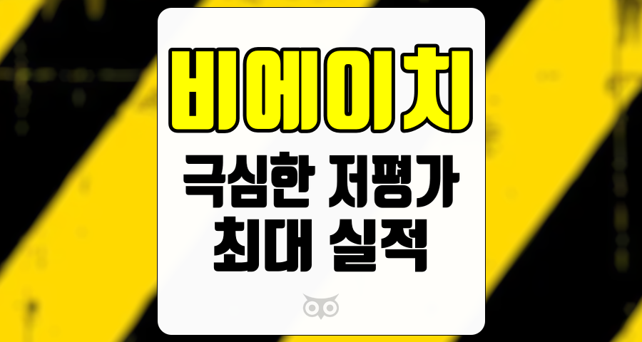 비에이치, 최대 실적에도 극심한 저평가