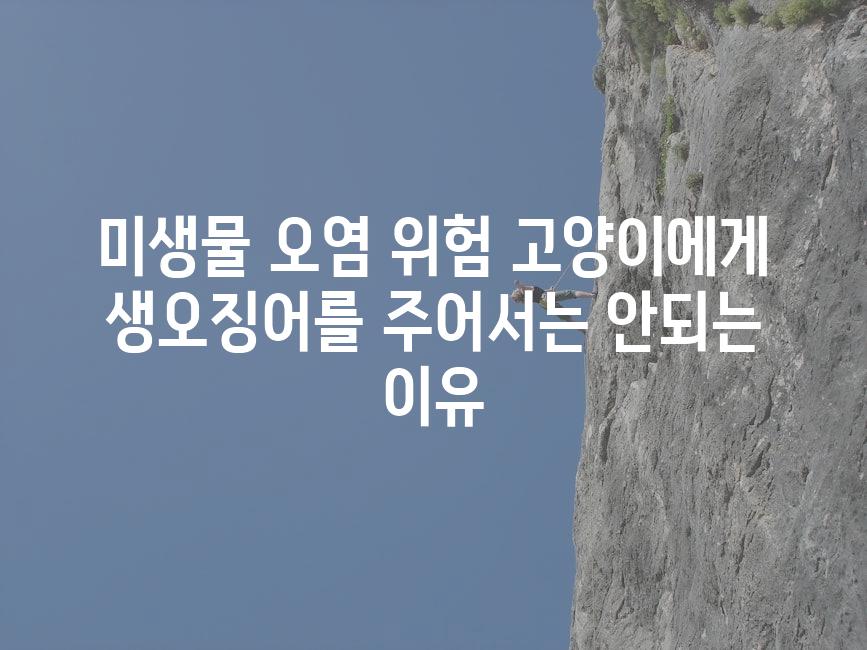 미생물 오염 위험 고양이에게 생오징어를 주어서는 안되는 이유