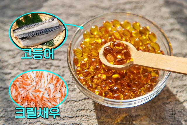 눈건조증 치료 관리 오메가3