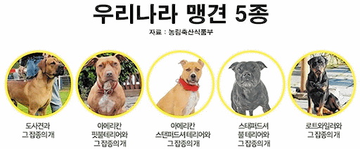 맹견사육허가제