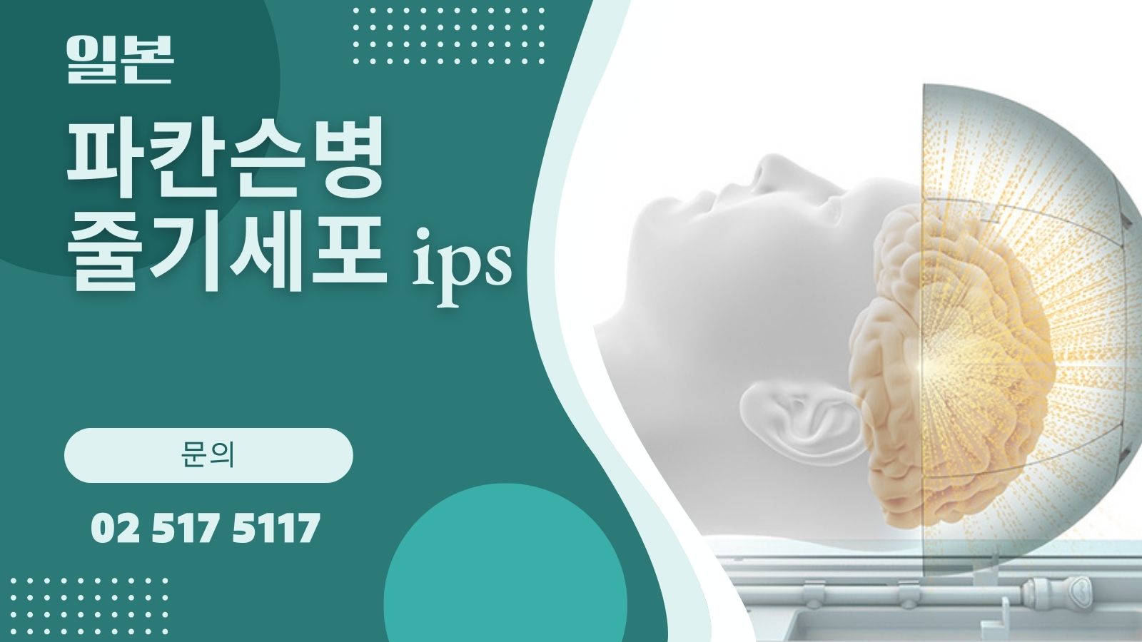 파칸슨병치료
