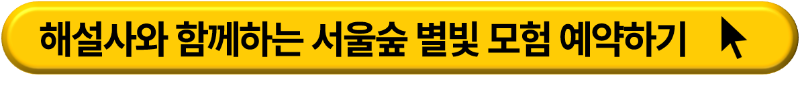 별헤는 서울숲 , 서울숲 푸른밤 축제