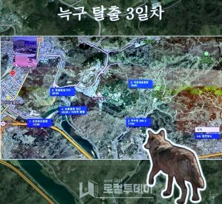 늑구 포획 실패 마취총 드론 재수사