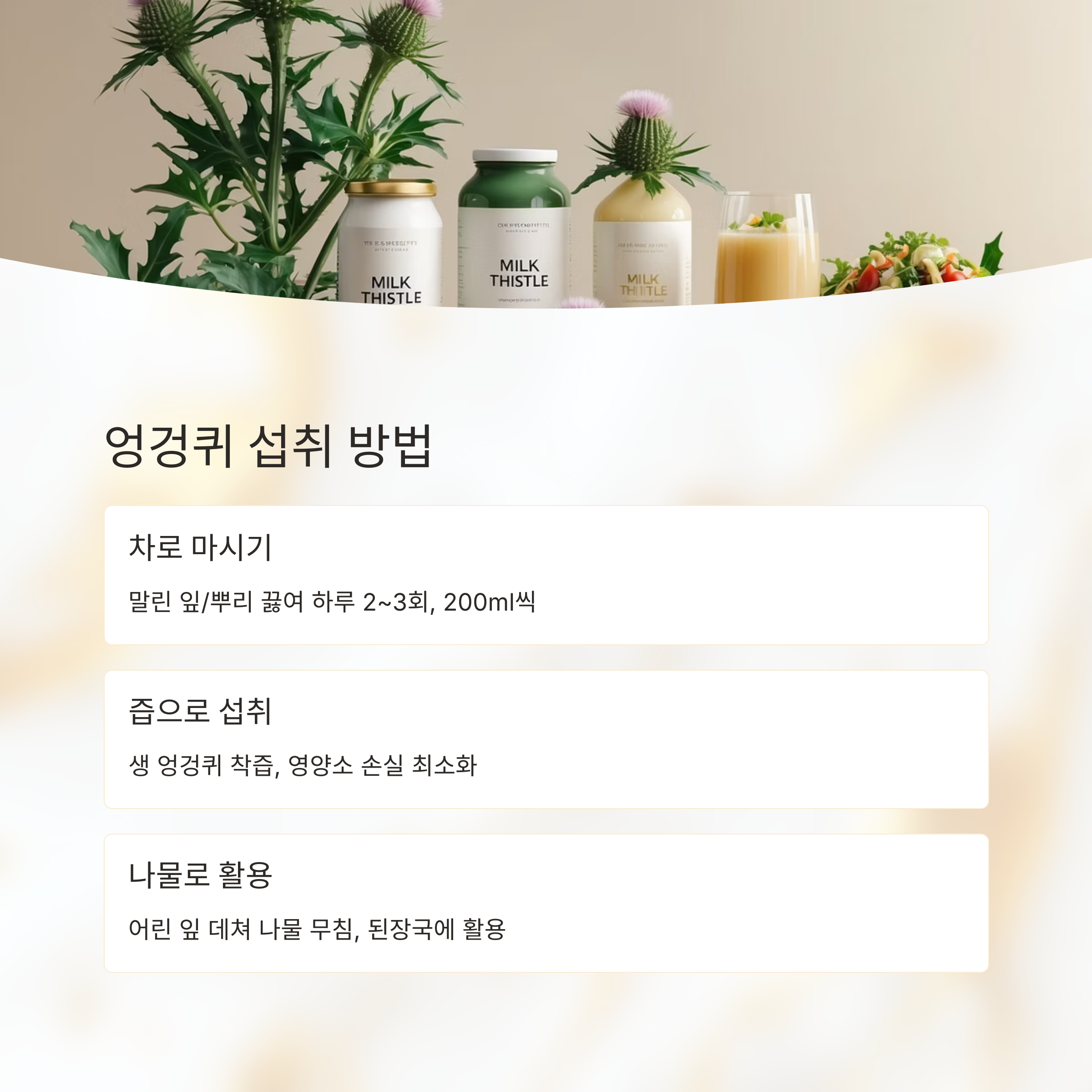 엉겅퀴 먹는법에 대한 설명이 포함된 이미지