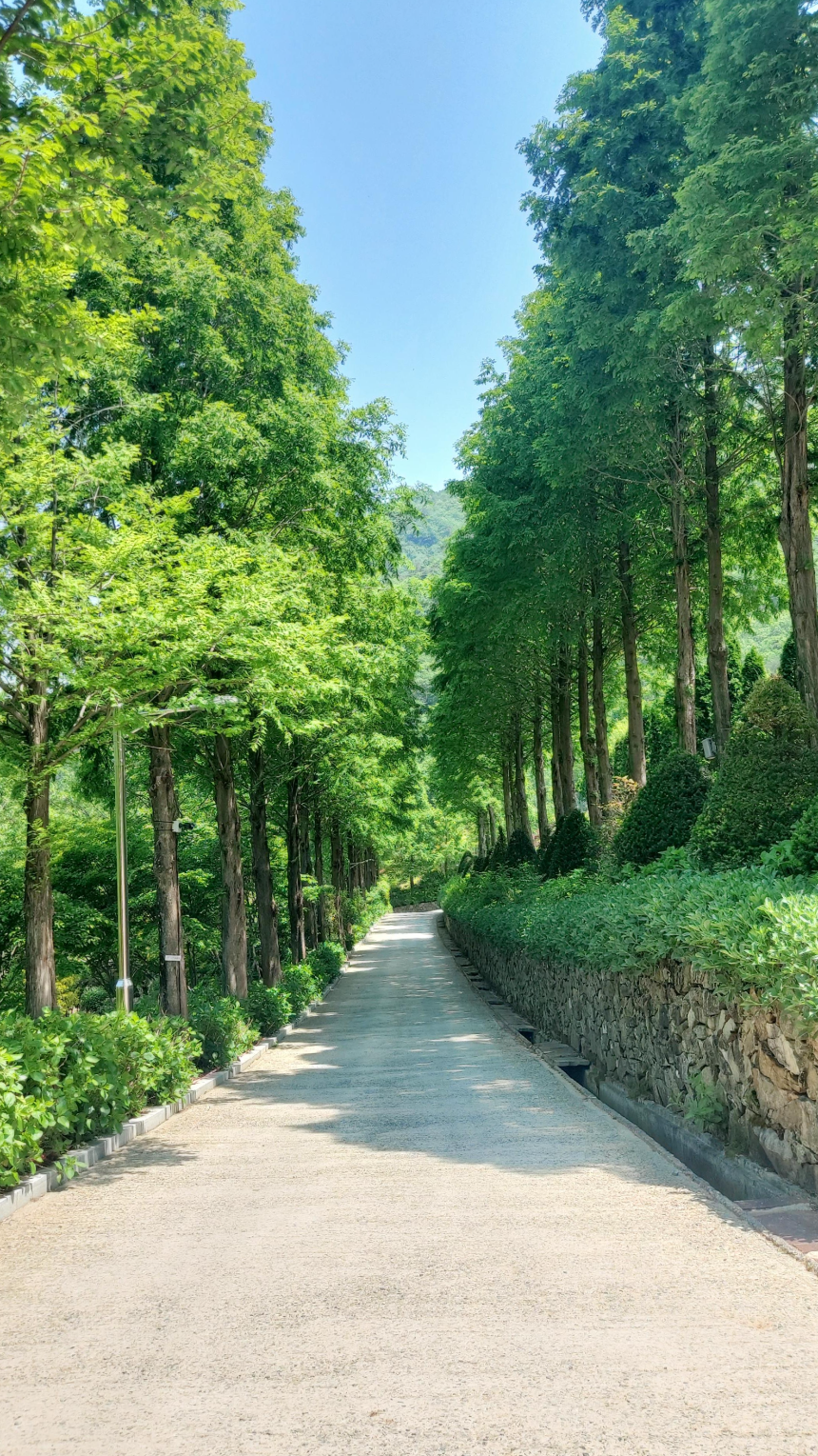 특색 있고 아름다운 민간 정원 30선 추천 여행 - 14. 고성 그레이스 정원