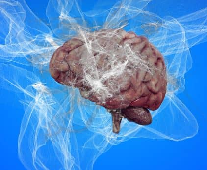 뇌-기계 인터페이스(BMI)와 의지의 미래