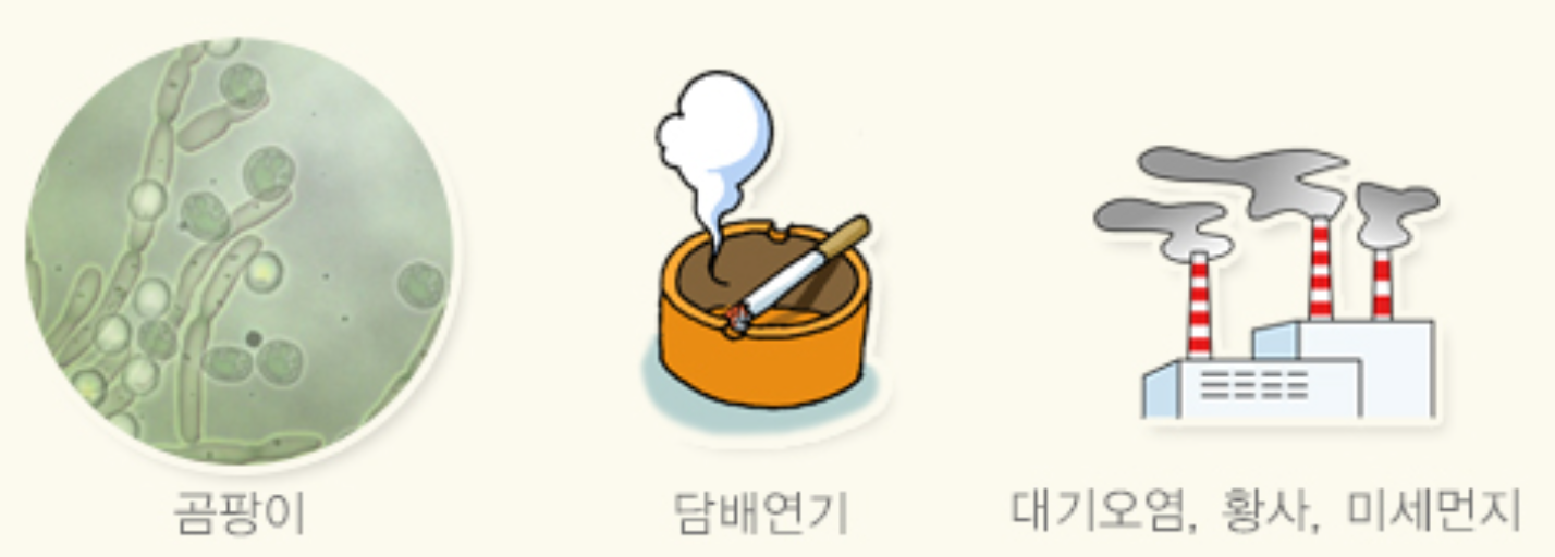 알레르기 원인부터 증상&middot;치료