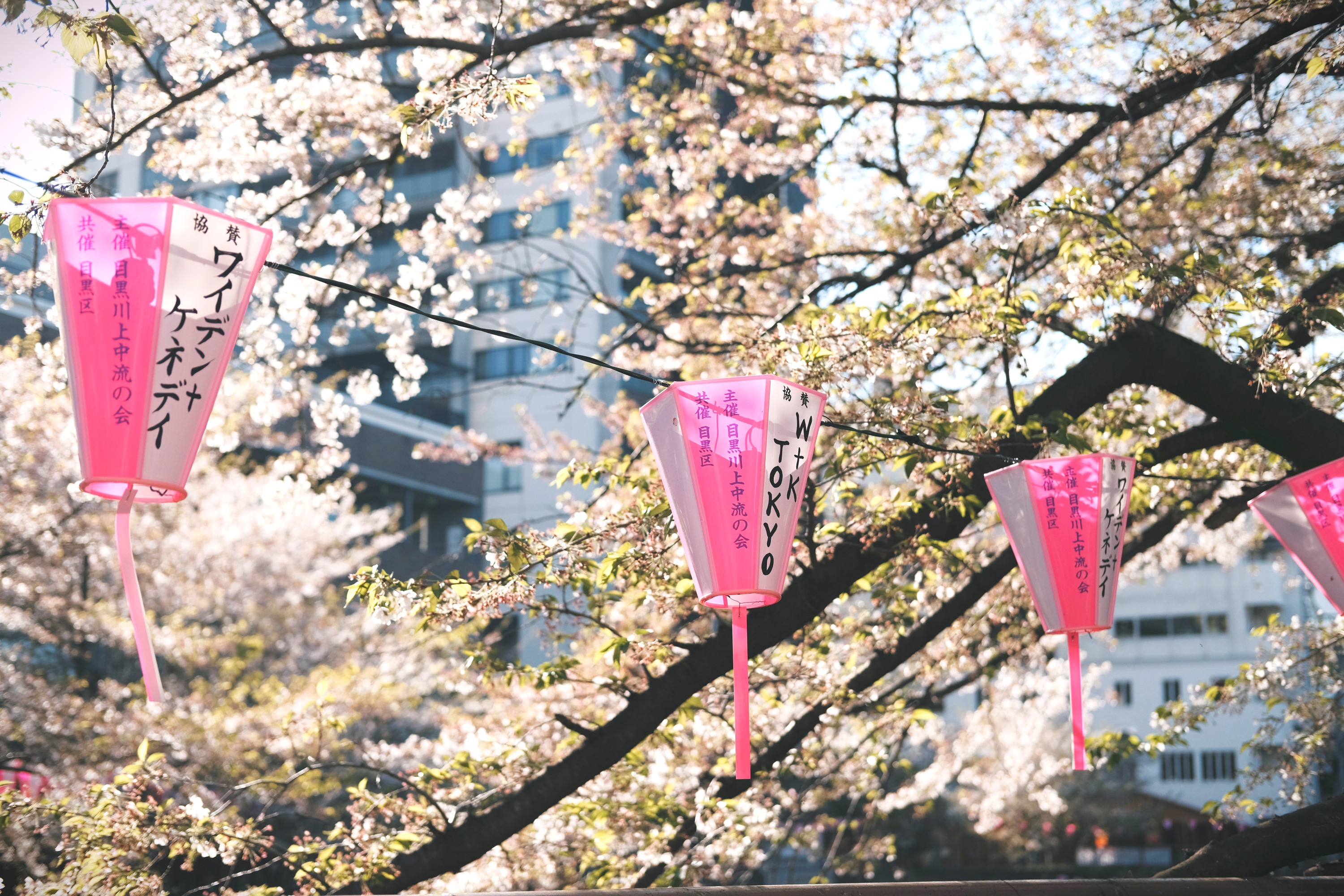 Tokyo