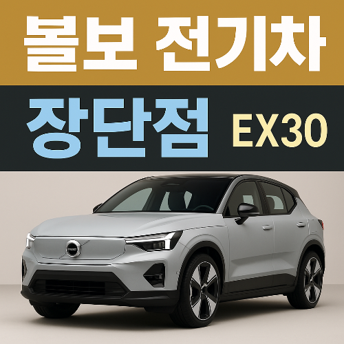 볼보 전기차 장단점