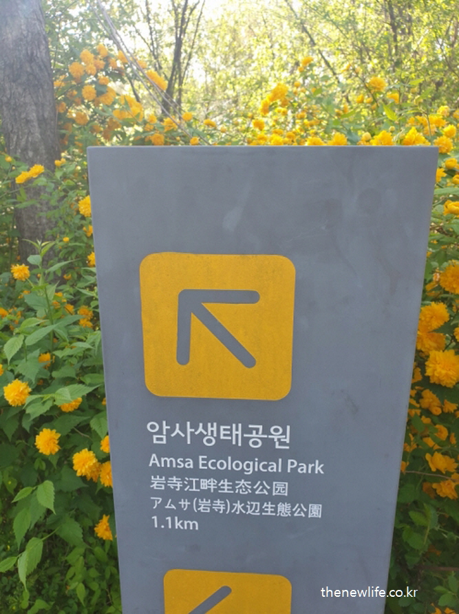 서울 맨발 걷기 좋은 장소 &ndash; 암사 생태공원 맨발 걷기 장소를 안내하는 공식 표지판