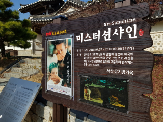 서산 유기방가옥 수선화 축제 기간 개화 총정리