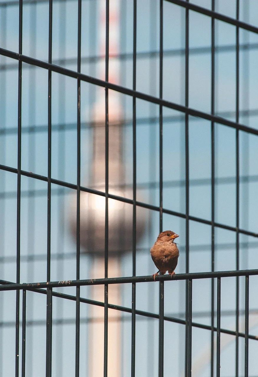 치매안심센터 등록 방법