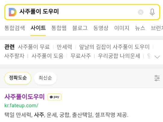 다음에서_사주풀이_도우미_검색