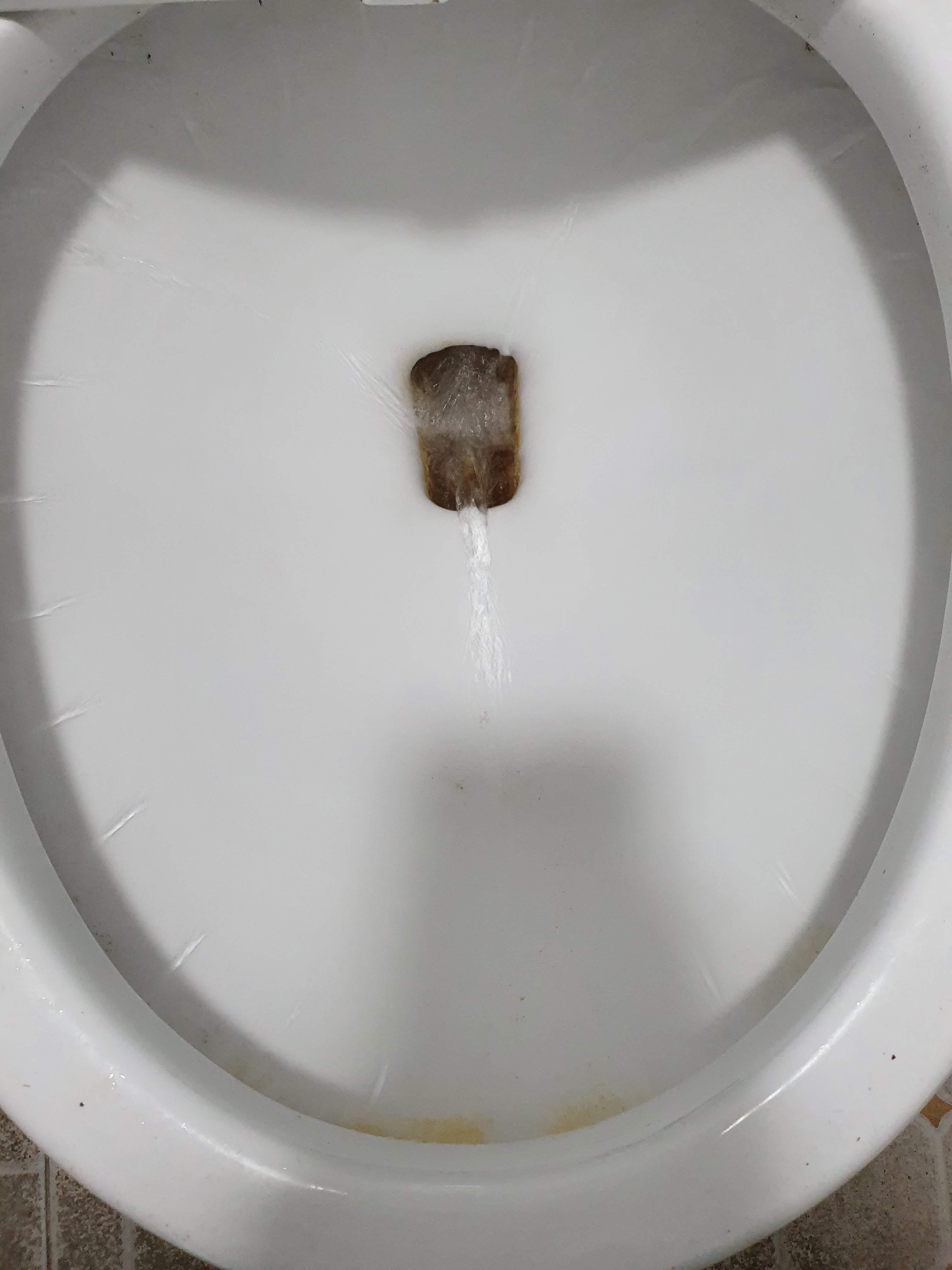 변기 안쪽 청소