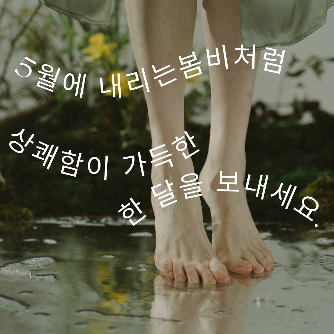 5월 인사말 문구 모음집 이미지