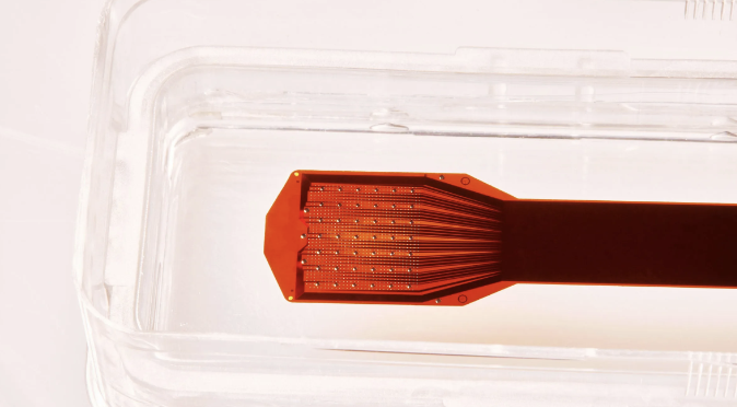 스타트업이 15분 동안 두개골에 뇌 임플란트를 이식하도록 허용한 사람들