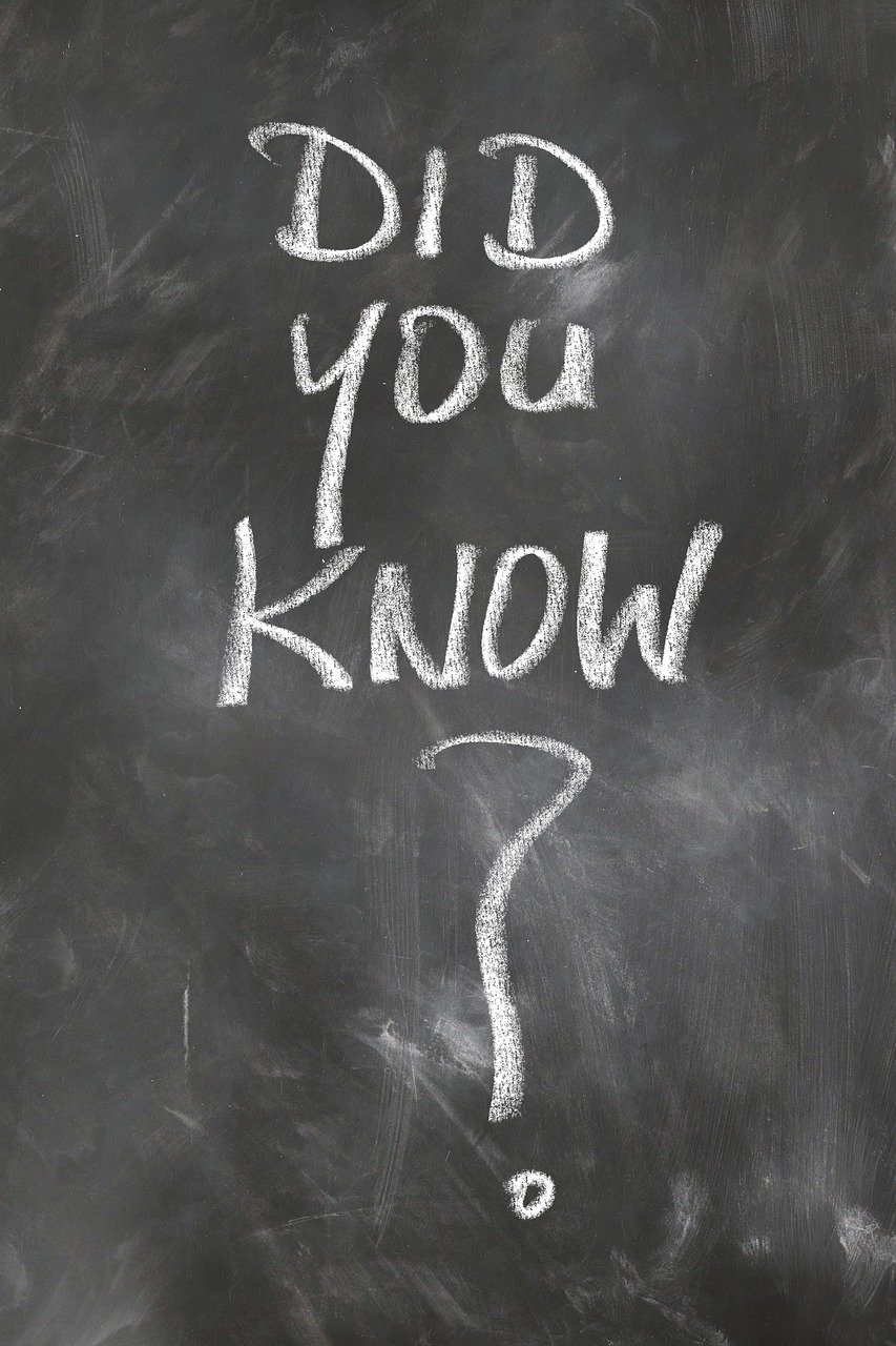 아이가 영어를 싫어할 때 부모가 해야 할 말