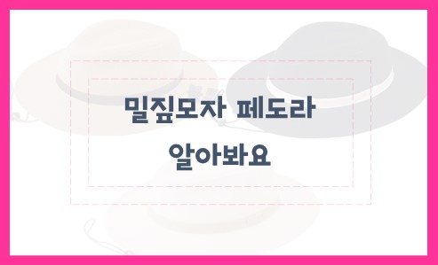 밀짚모자 페도라