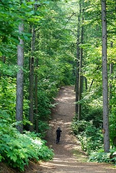 만보 걷기 효과