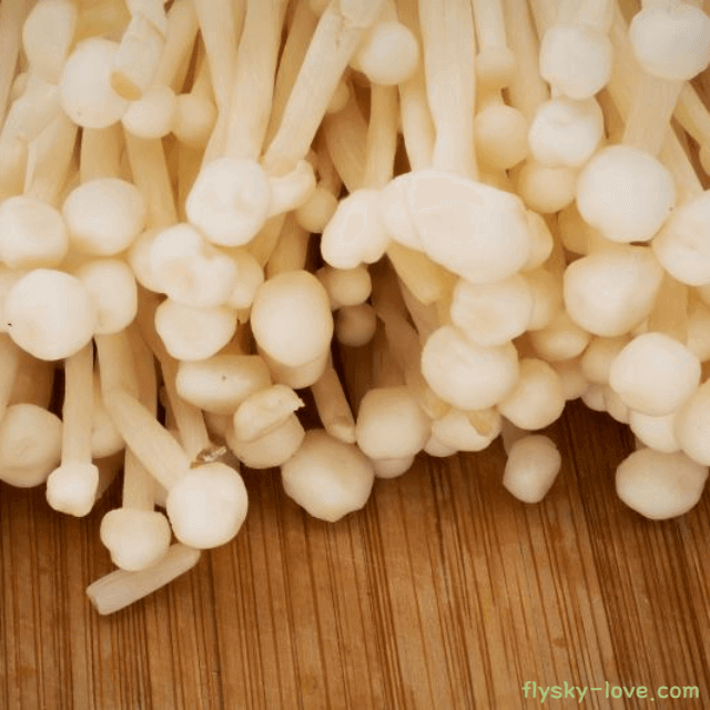 변비에 좋은 팽이버섯