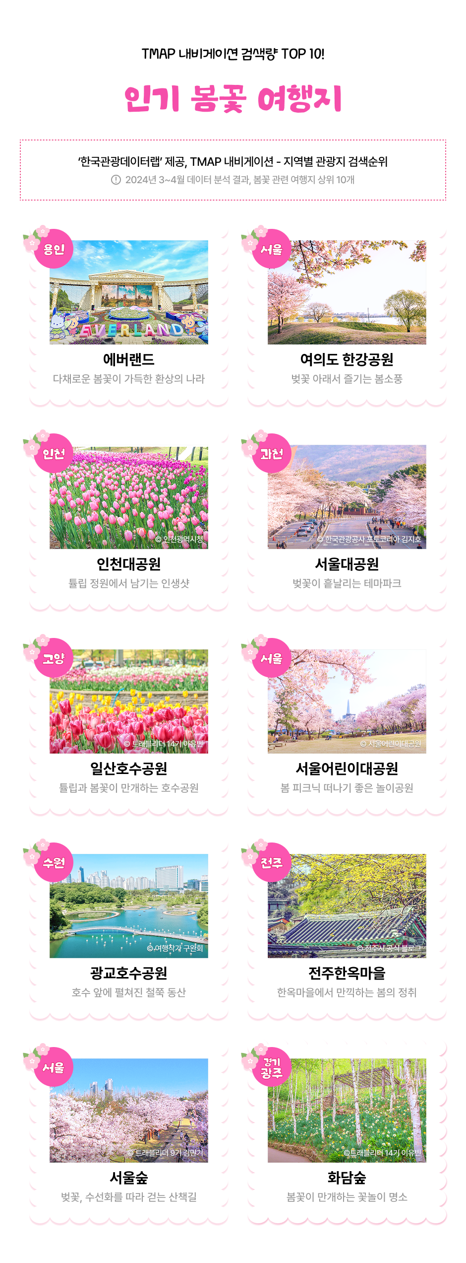 인기 봄꽃 여행지 관련 이미지