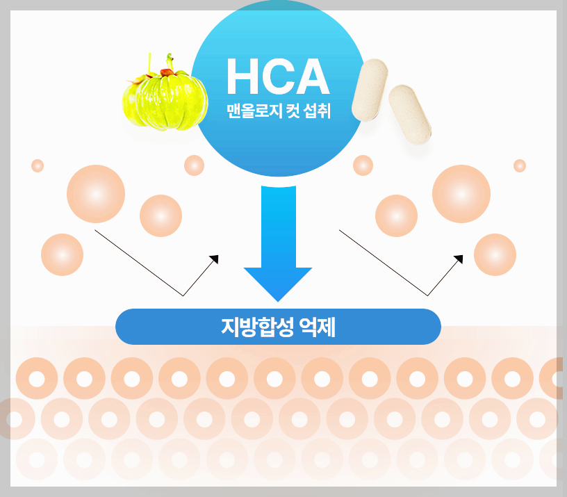 파란통 다이어트 후기 내돈내산 제대로 확인