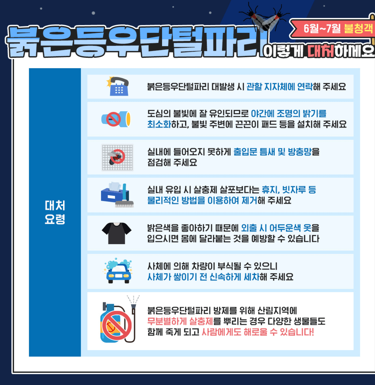 길 가다 자꾸 부딪히는 러브버그 & 피하는 방법!