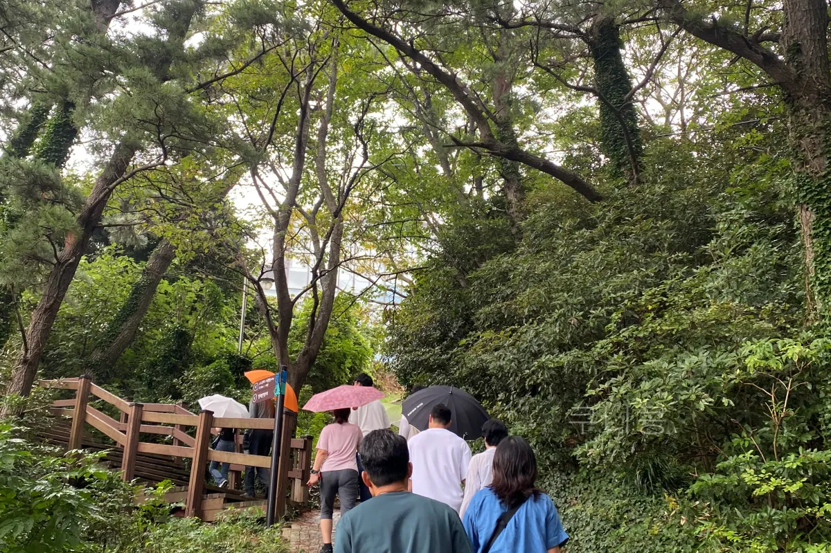 울릉도-추석가족여행-1일차-모노레일-입장료-할인,-해안산책로,-대풍감-풍경까지