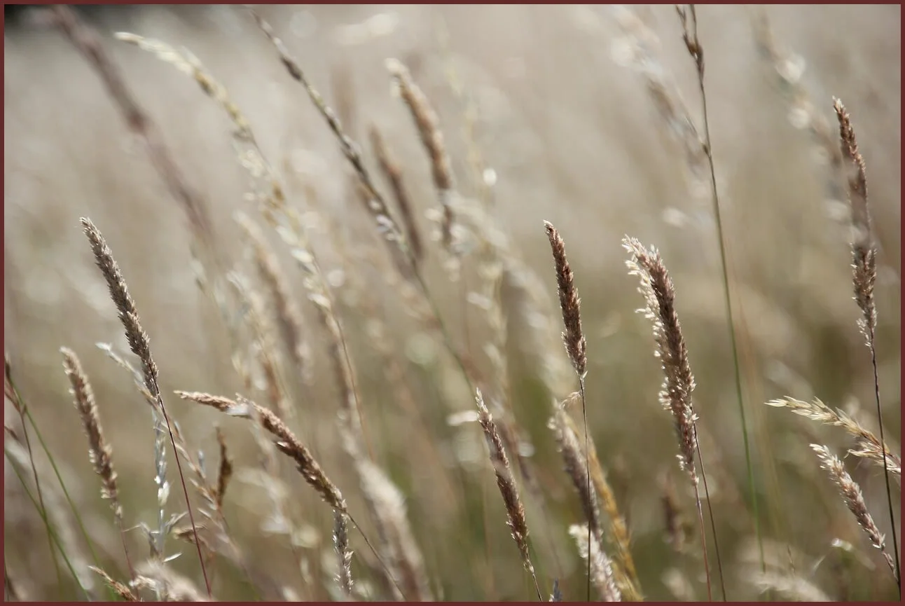 하나은행 정기예금 금리