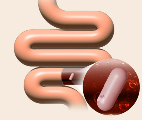 퓨어슬림 유산균 복용법