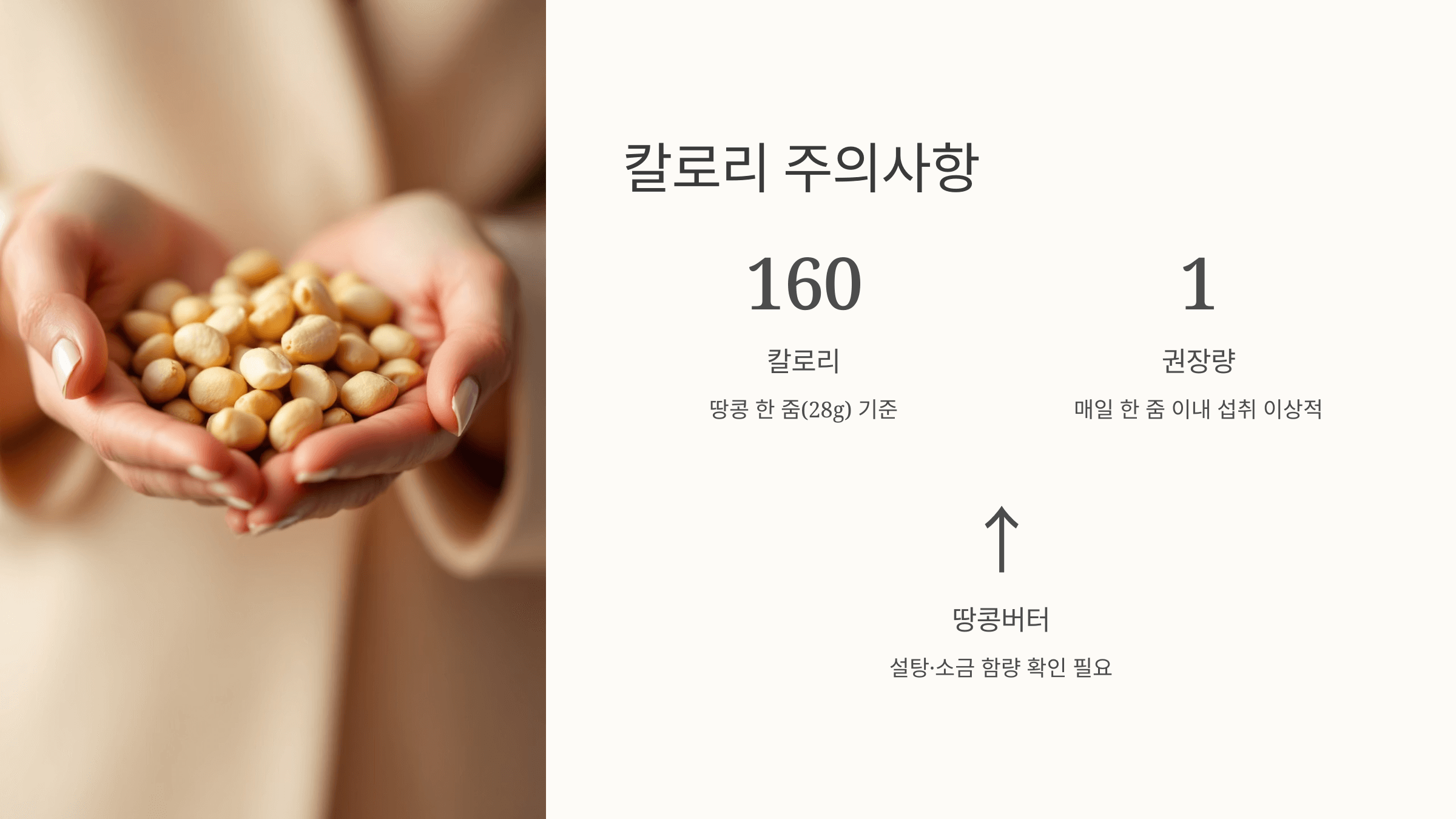 땅콩 사진입니다.