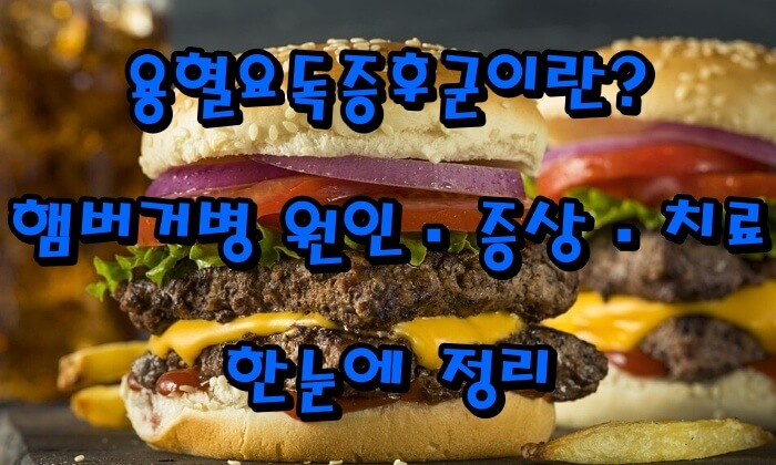 용혈요독증후군이란? 햄버거병 원인·증상·치료 한눈에 정리