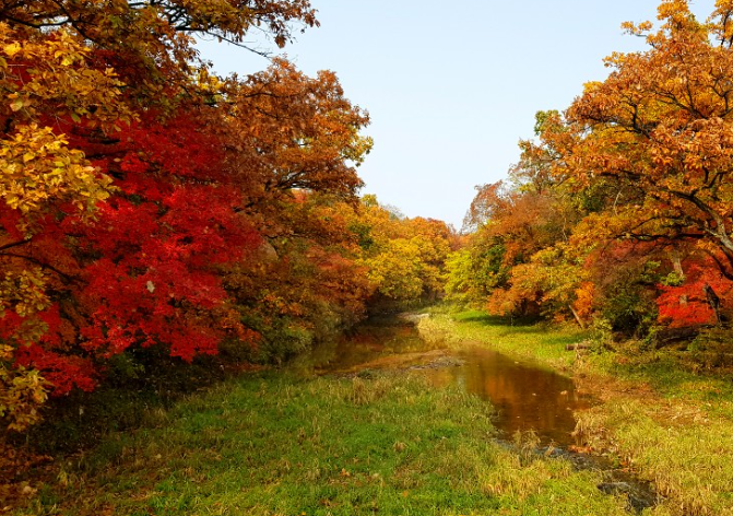 광릉 국립수목원 (포천)