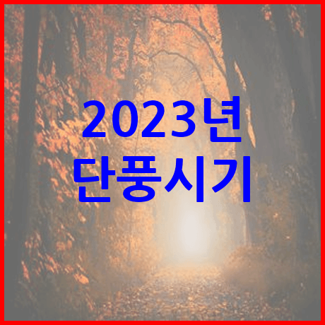 2023 단풍시기