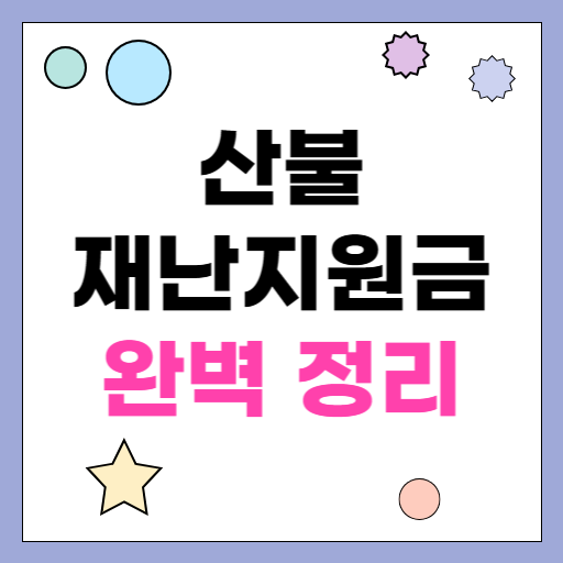 산불 재난지원금 총정리