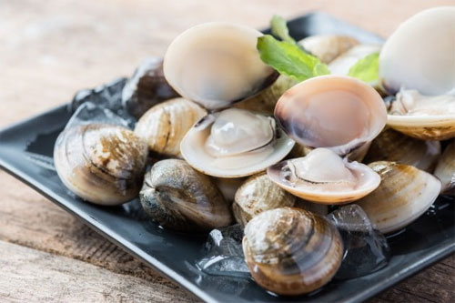 접시위에-올려진-바지락들