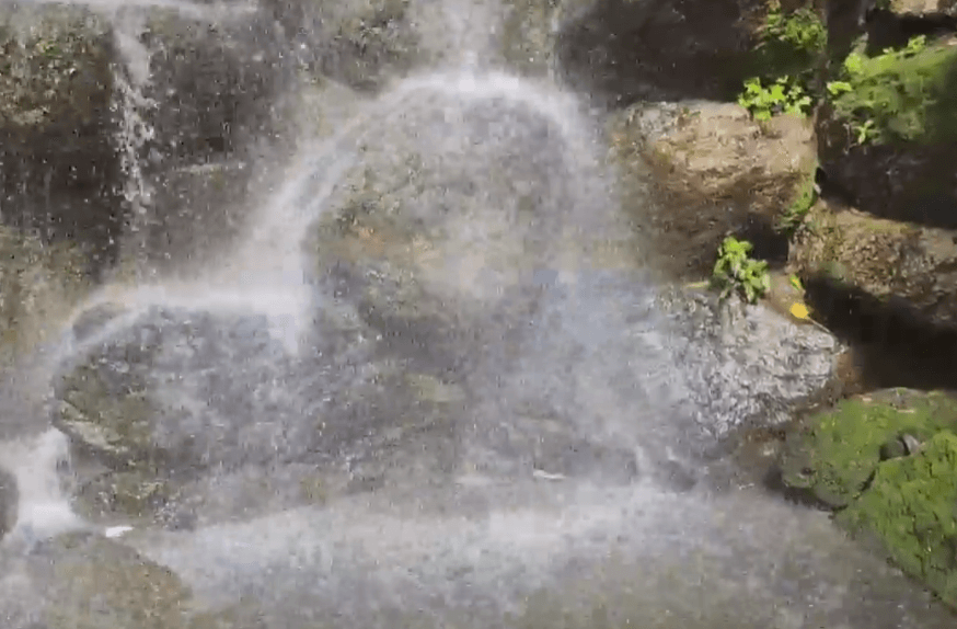 단풍축제 화담숲