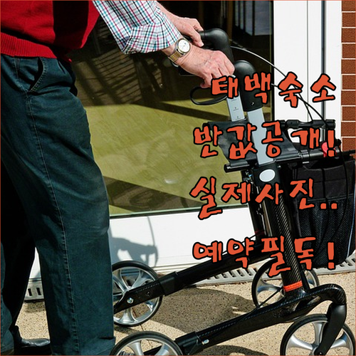 강원도 태백 여행 숙소 예약 전 확인..
