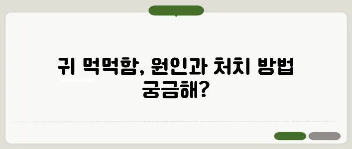 귀가 먹먹한 증상 원인과 해결 방법